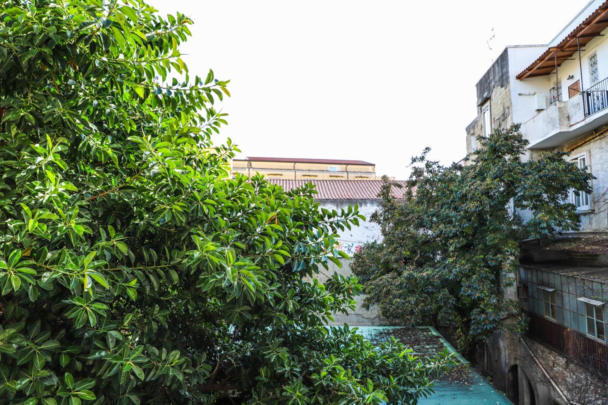 Le Scalette A Santa Chiara Apartment Naples Exterior photo
